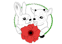 Image is not available