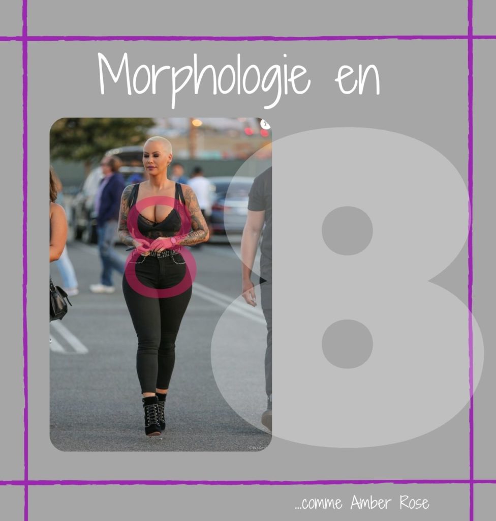 LA MORPHOLOGIE EN 8